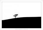 Bianco e Nero