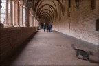 Chiostro Chiaravalle della Colomba