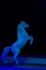 Circo 1