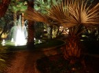 Fontana tropicale