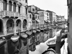 Chioggia