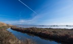 saline di Molentargius