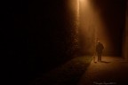 the fog