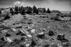 La Calvana