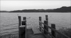 B/W