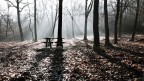 Controluce