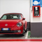 Pesce Rosso Rosso Rosso