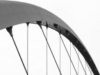 Ponte Meier