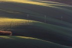 lame di luce verde e pali