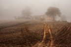 Campagna Campagna