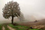 campagna2 campagna2
