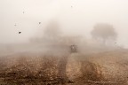 Campagna 4