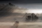 Paesaggio berico