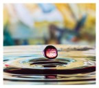 prova 21/01 prova 21/01