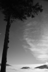foto Nicola Vicini  Copyright 2016