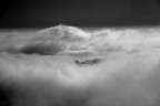 foto Nicola Vicini  Copyright 2016