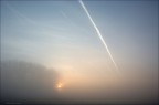 Alba 01
