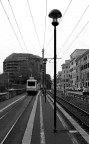 Linee guida