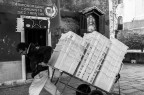 Ve,DSC7908