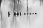 abstract