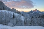 INTO THE WHITENESS