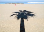 Palma