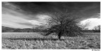 IMGP3317