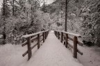 inverno