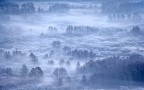 Il richiamo della Natura
