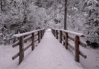 inverno 2