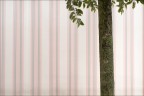 DSCF0448