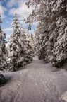 neve e poi neve
