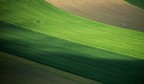 green zones