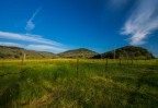 Napa's magic field