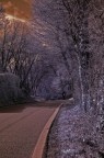 Tramonto invernale lungo una strada solitaria e deserta di un colle.
Utilizzata una d70 IR con post produzione.