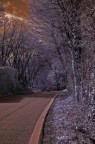Tramonto invernale lungo una strada solitaria e deserta di un colle.
Utilizzata una d70 IR con post produzione.