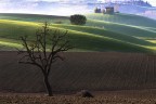 ritorno alle origini