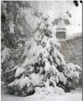 neve ad asiago