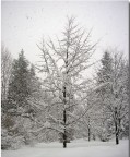 neve ad asiago