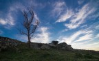 Touching the blue sky