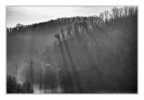 Colline Castell'Arquato.
