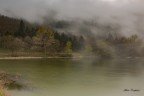 Nebbia