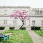 Borgo Piave - Centro