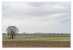 Monotonie padane