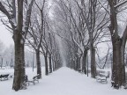 Tempo di neve.