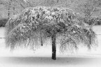 Tempo di neve.