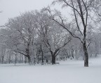 Tempo di neve.