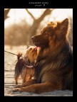 Bacio alla francese!