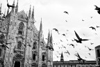 Duomo con piccioni