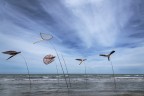 origami nel vento